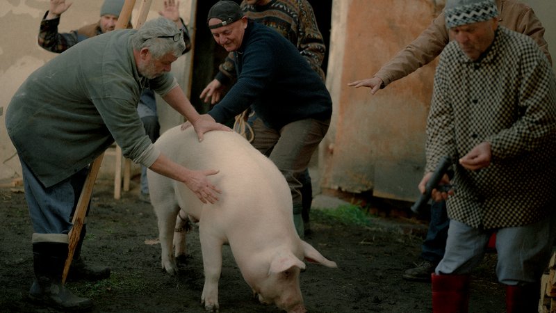 Mord / Our Lovely Pig Slaughter