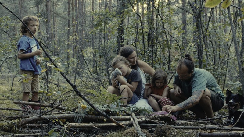 Las / Der Wald / The Forest