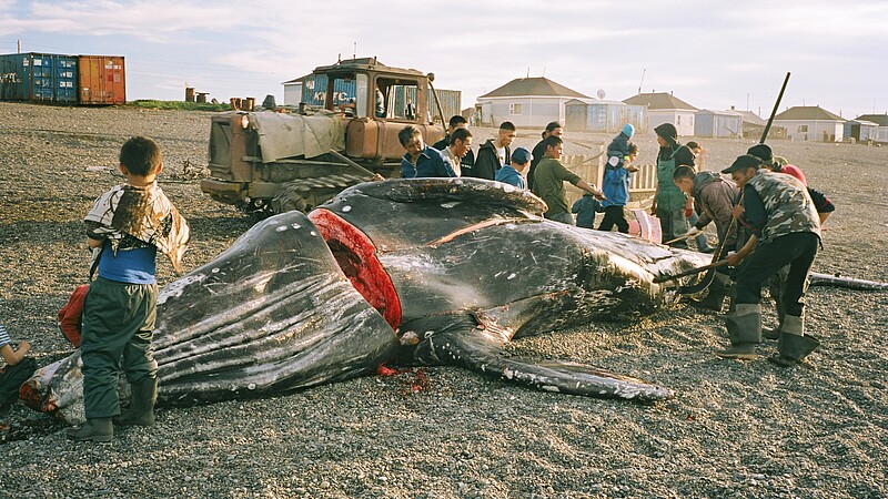 Wieloryb z Lorino / Wal aus Lorino / The Whale from Lorino